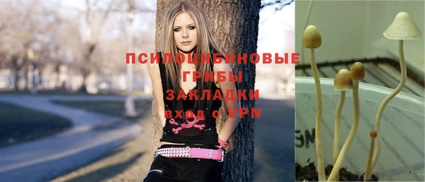 наркотики Белокуриха